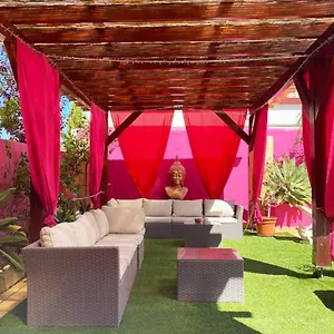 https://casa-concha-peaceful-and-relaxing.hotelaalgarve.com