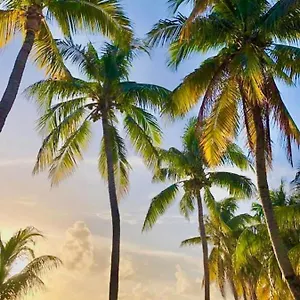 https://vc-beachsuites.quintano-roohotels.com
